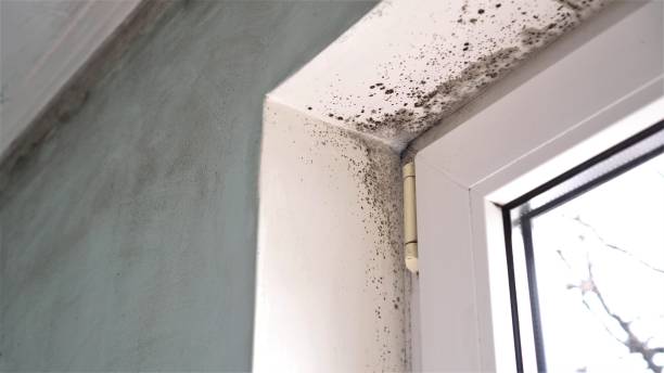Water Damage Restoration in Franklin, IN