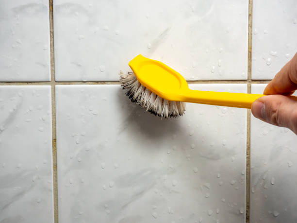 Best Certified Mold Removal  in Frankl, IN