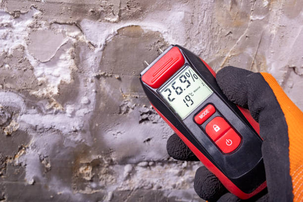 Mold Removal Process in Franklin, IN