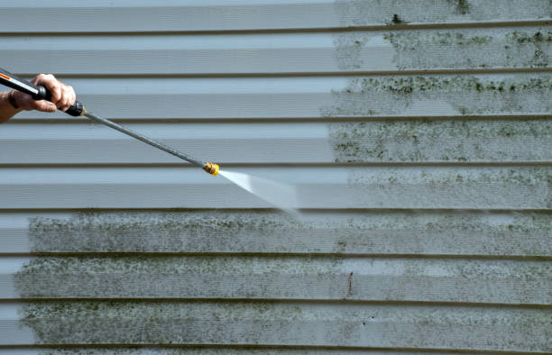 Mold Testing and Removal in Franklin, IN