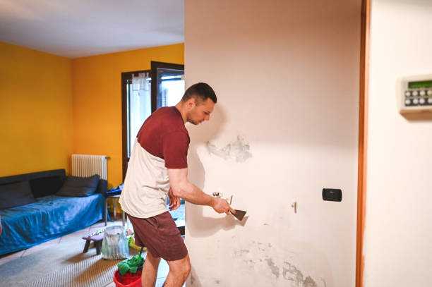 Best Local Mold Removal Service  in Frankl, IN
