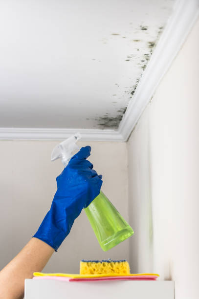 Best Water Damage Restoration  in Frankl, IN
